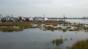 2012-11-10_15-33-55_539